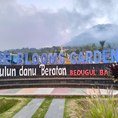Kaia Lovina Guest House Exterior foto